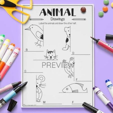 ESL English Animals Draw The Other Half Activity Worksheet