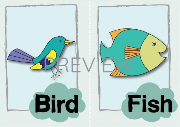 ESL English Bird Fish Flashcard