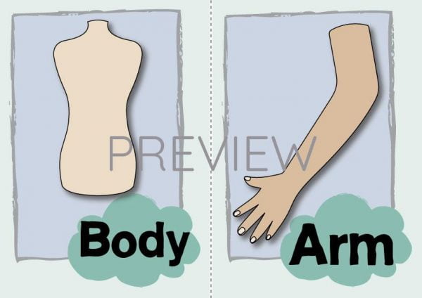 ESL EnglishBody Arm Flashcard