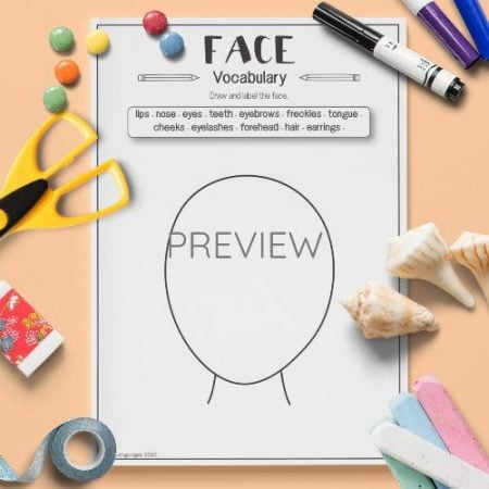 ESL English Face Vocabulary Activity Worksheet
