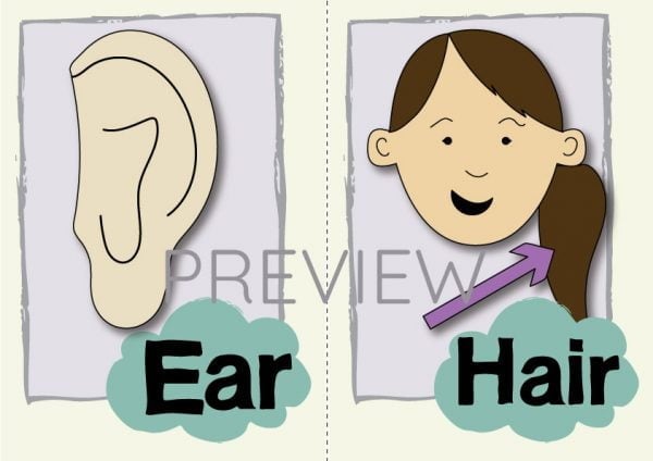 ESL English Ear Hair Flashcard