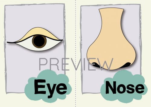 ESL English Eye Nose Flashcard