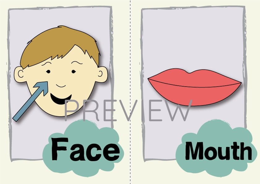 ESL English Face Mouth Flashcard