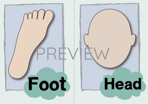 ESL English Foot Head Flashcard