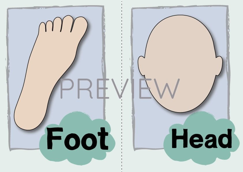ESL English Foot Head Flashcard
