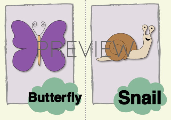 ESL Butterfly and Snail Flashcard