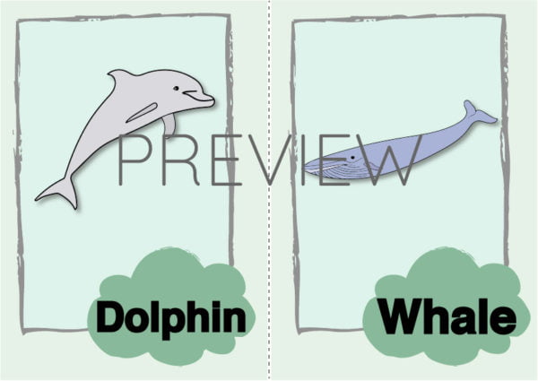 ESL Dolphin and Whale Flashcard