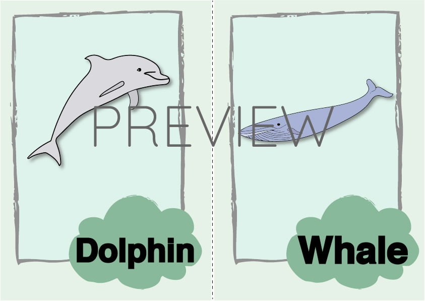 dolphin-and-whale-flashcard-gru-languages