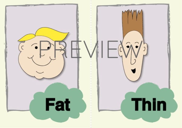 ESL Fat and Thin Flashcards