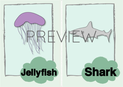 ESL Jellyfish and Shark Flashcard