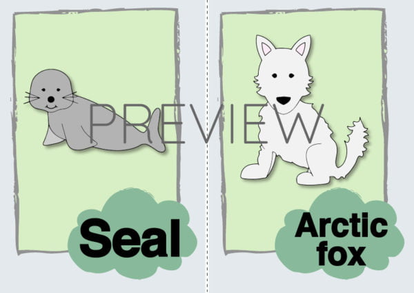 ESL Seal and Arctic Fox Flashcard