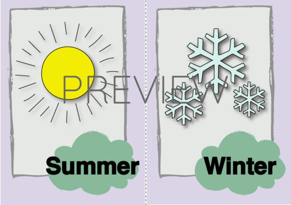 ESL Summer and Winter Flashcard