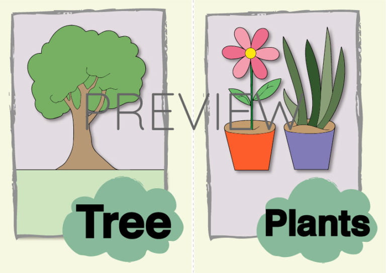 Tree and Plants Flashcard | Gru Languages