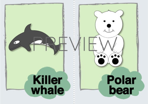 ESL Killer Whale and Polar Bear Flashcard