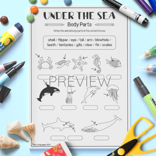 ESL Underwater Animal Body Parts Worksheet for Children