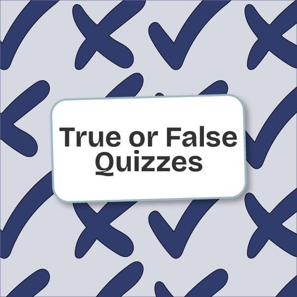 online true or false quizzes for children