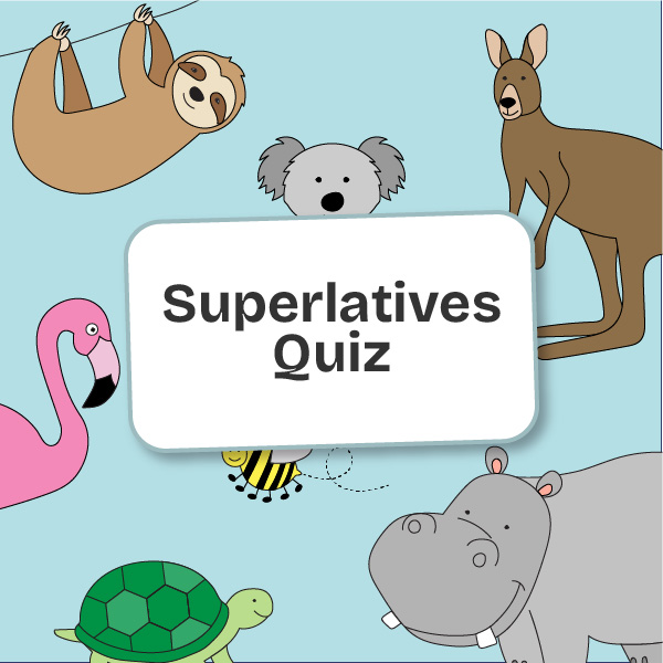 Online superlative quiz for children