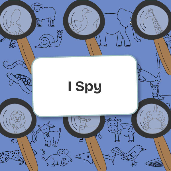 I spy online game for children learning English